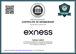 Exploring the Exness Trading Platform Features and Benefits Exploring the Exness Trading Platform Features and Benefits