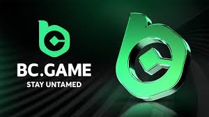 Comprehensive Guide to Payment Methods at BC Game 1453714907