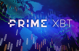 Understanding PrimeXBT Withdrawal Methods 1428734875