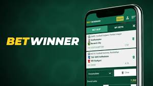 Everything You Need to Know About the BetWinner Mobile App